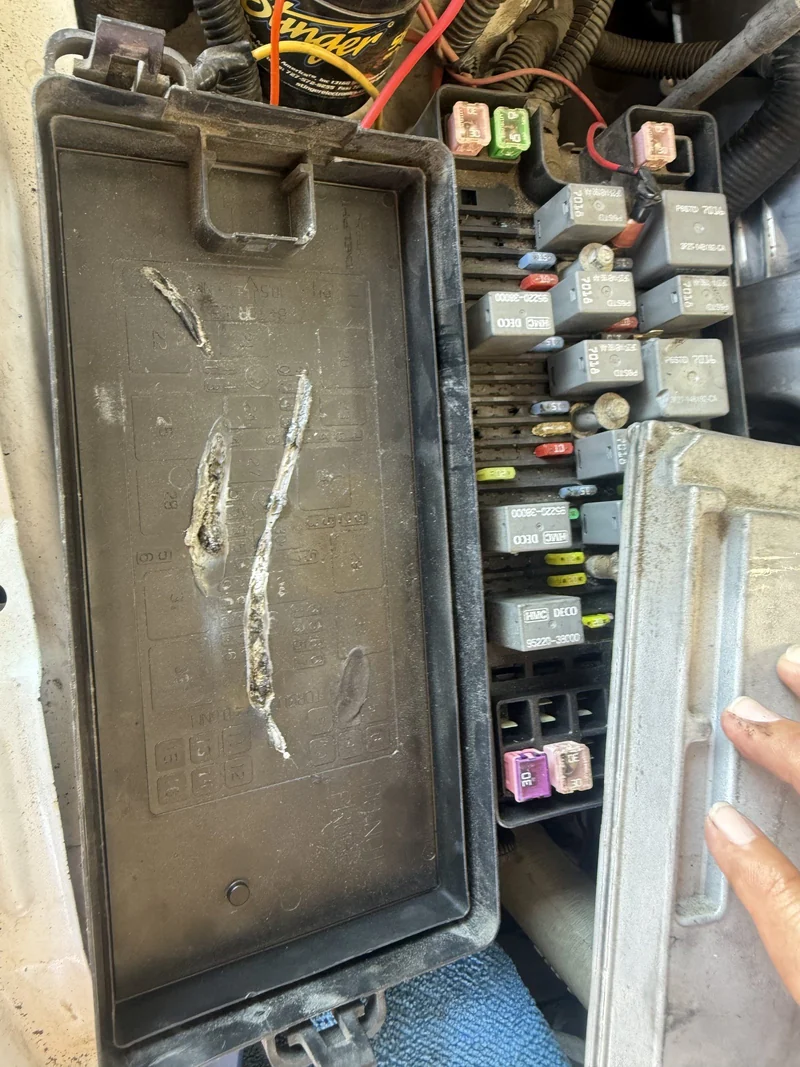 A fuse box lid with the corrosion track that caused the fault.